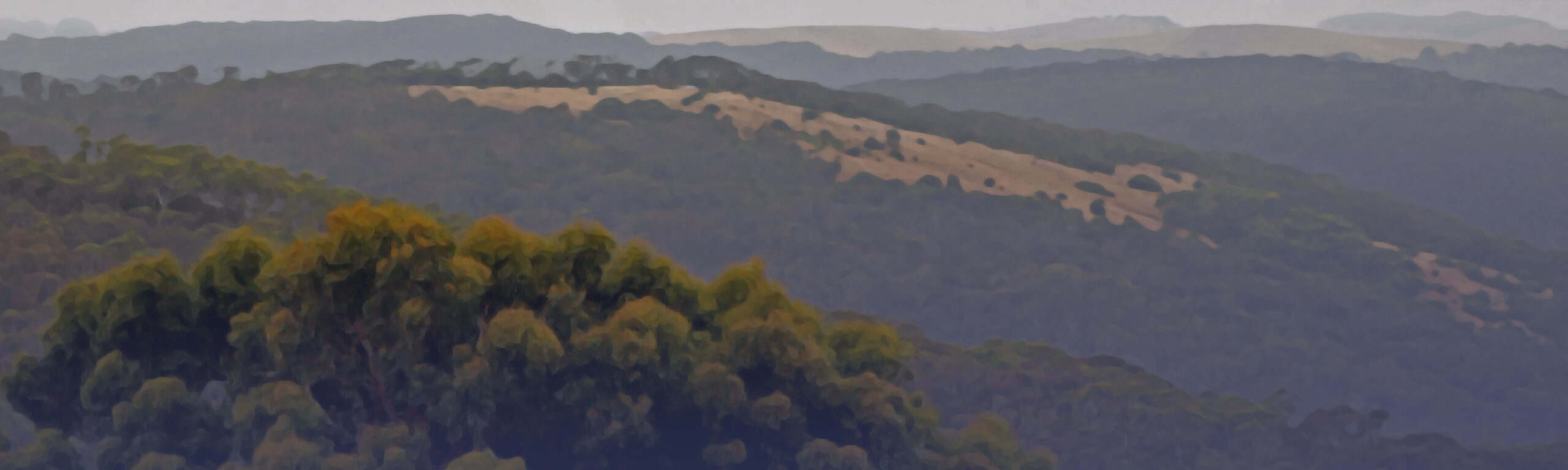 A stylized photograph of the landscape on the Fleurieu Peninsula in South Australia. 